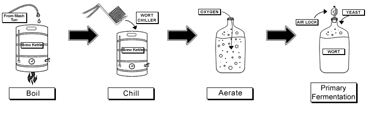 Boil, Chill, Aerate, Primary Fermentation Boil, Chill, Aerate, Primary Fermentation