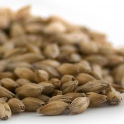 Simpsons Golden Promise&trade;