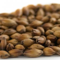 Simpsons Extra Dark Crystal Malt